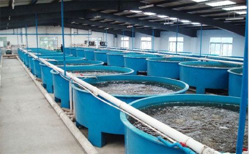 養(yǎng)殖槽 養(yǎng)殖槽