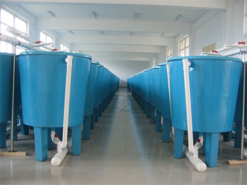 養(yǎng)殖槽 養(yǎng)殖槽