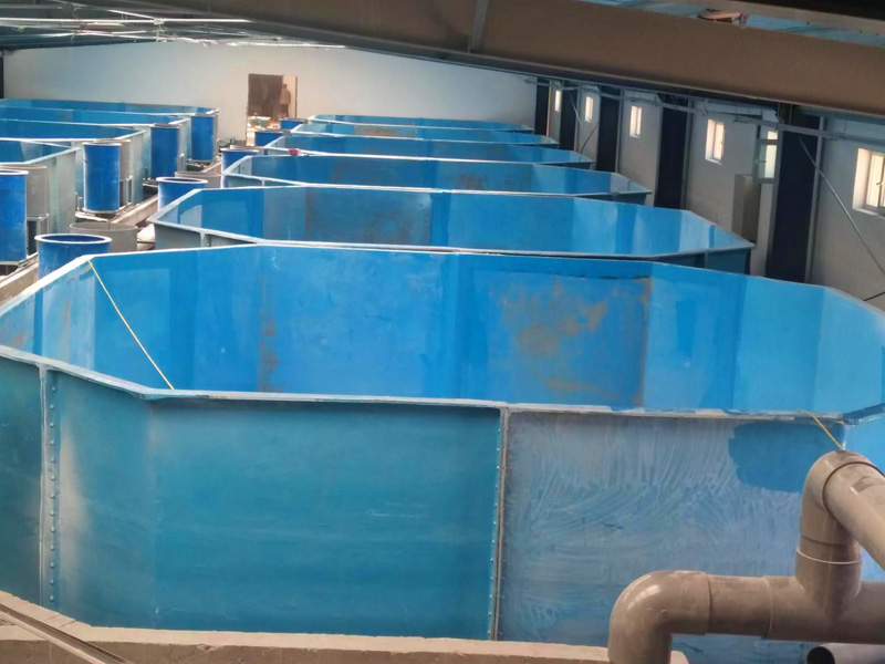 玻璃鋼魚(yú)槽 玻璃鋼魚(yú)槽