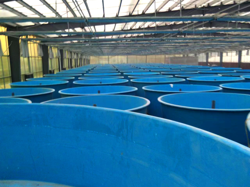 玻璃鋼魚(yú)槽 玻璃鋼魚(yú)槽